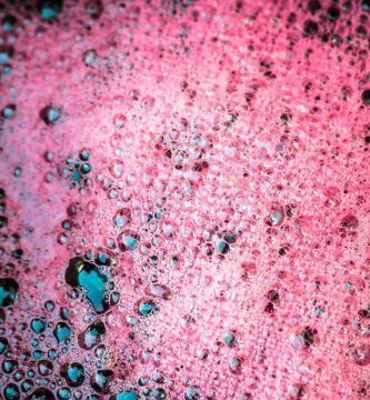 Fermentación del vino