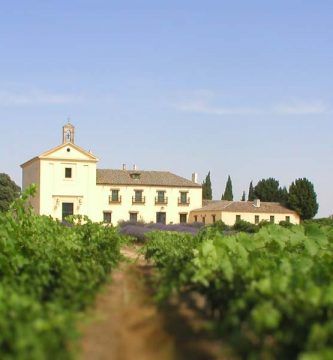 Bodega El Rincón Marqués de Griñón